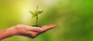 Why We Support Carbon180